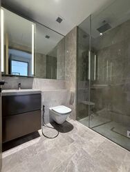 Klimt Cairnhill (D9), Apartment #477863551